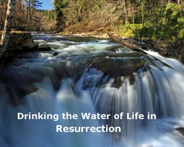 Drinking-the-Water-of-Life-in-Resurrection